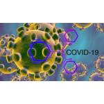 Metodická doporučení pro účinnou desinfekci povrchů v souvislosti COVID - 19 - koronavirem